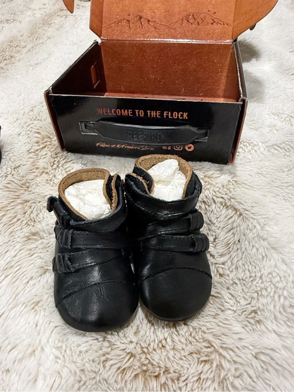 RARE Freebird Baby Crue Black Multi Leather Booties 3-6M NIB Box Dust Bag